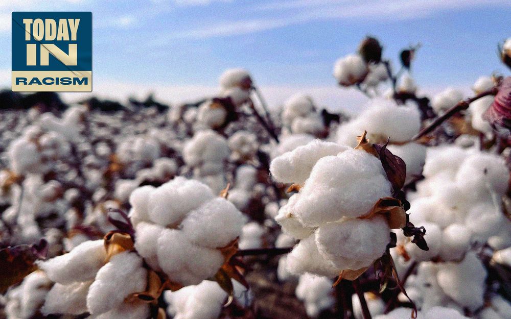 Is Picking Cotton Really the Best Way to Teach Kids About Slavery?