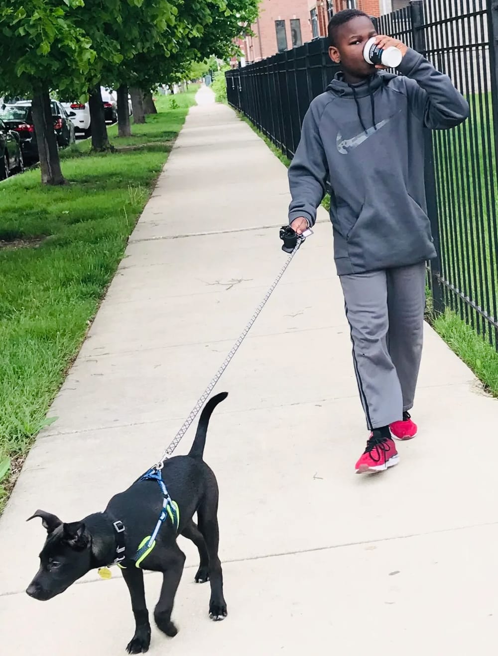 When Being a Good Father Means Being a Good Dog Owner