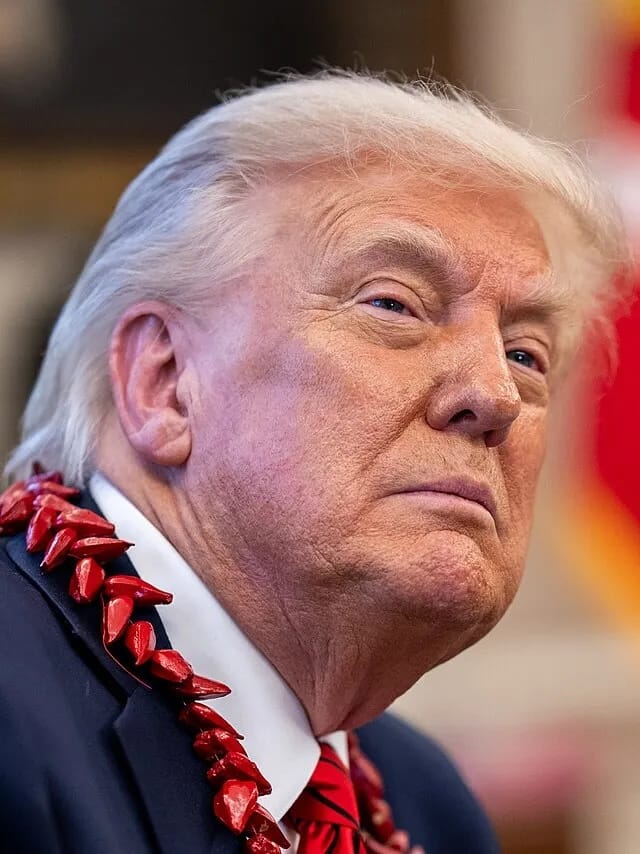 What the Donald Trump Administration Has Cost You