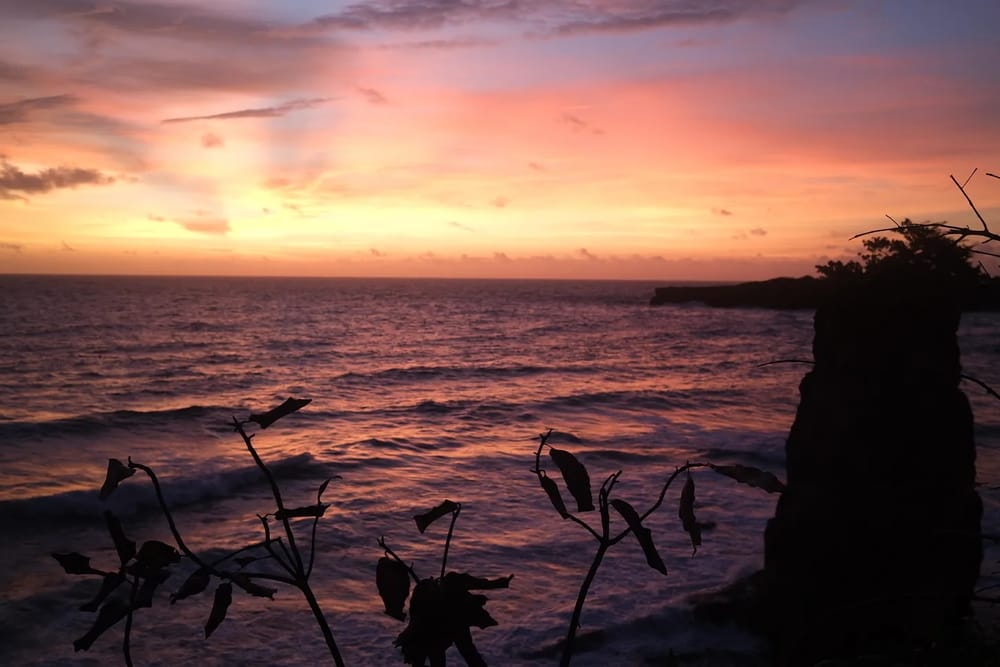 My Country Treats Me Like a Nuisance. I'm so Grateful