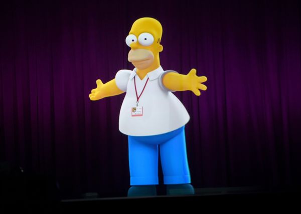 Projection of Homer Simpson