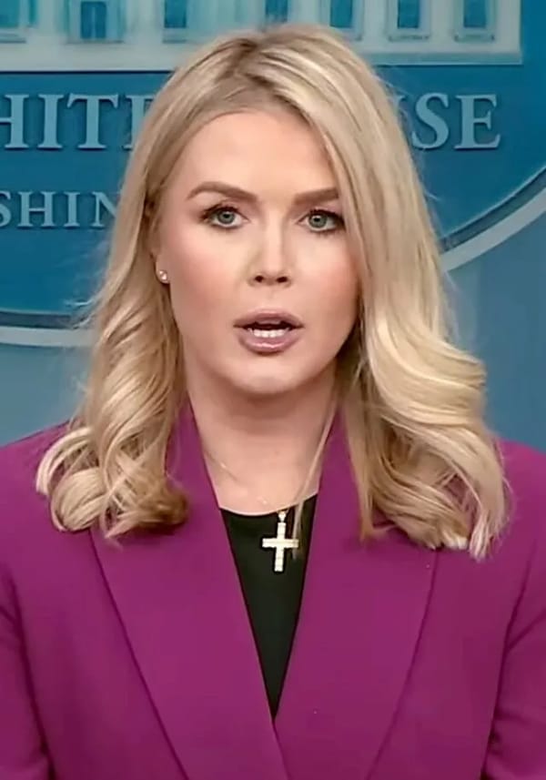 Karoline Leavitt Defends Donald Trump Calling a Female Reporter 'Piggy'