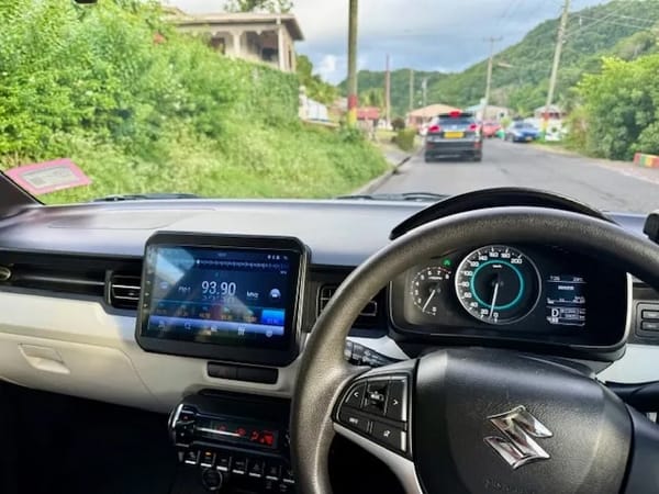 Driving on the Left Side of the Road: a Crash Course on Critical Thinking