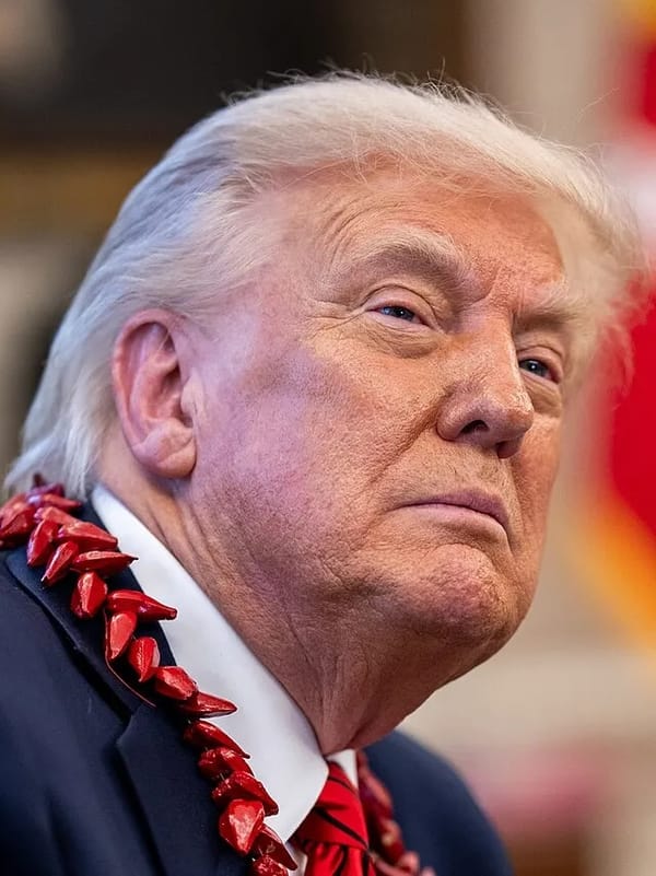 What the Donald Trump Administration Has Cost You