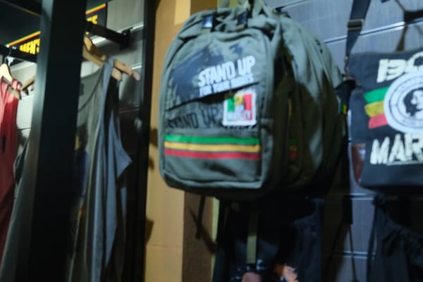 My day with Bob Marley and Jamaica's Billionaire Rasta Problem