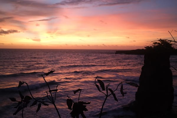 My Country Treats Me Like a Nuisance. I'm so Grateful